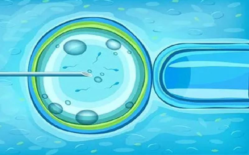 试管全部费用代生