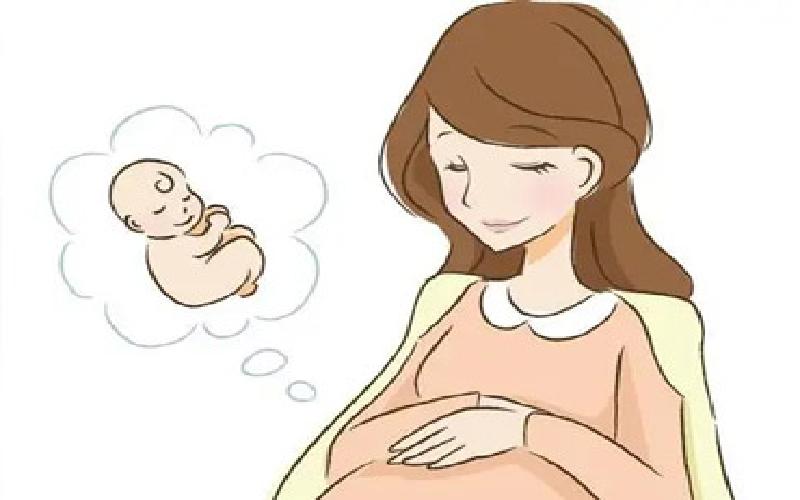 试管培育茶花苗代生